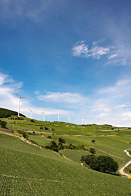 포토 JPG 하늘 한국 풍경 사람없음 풍력에너지 강원도 배추밭 태백 고랭지 매봉산 국내포토 아시아 밭 농업 산 그린에너지 파일형식
