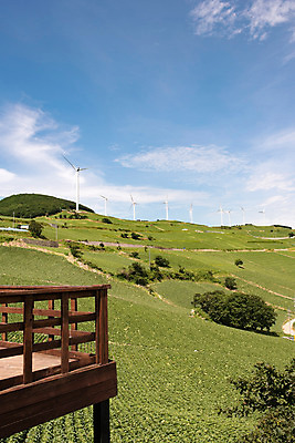 포토 JPG 하늘 한국 풍경 사람없음 풍력에너지 강원도 배추밭 태백 고랭지 매봉산 국내포토 아시아 밭 농업 산 그린에너지 파일형식