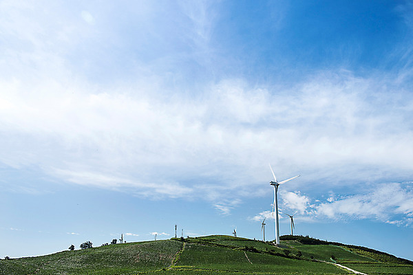 포토 JPG 하늘 한국 풍경 사람없음 풍력에너지 배추 강원도 배추밭 태백 고랭지 매봉산 국내포토 아시아 밭 농업 채소 산 그린에너지 파일형식