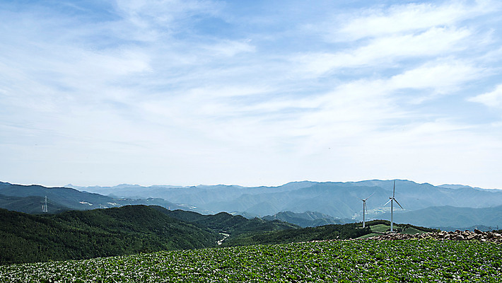 포토 JPG 하늘 한국 풍경 사람없음 풍력에너지 배추 강원도 배추밭 태백 고랭지 매봉산 국내포토 아시아 밭 농업 채소 산 그린에너지 파일형식
