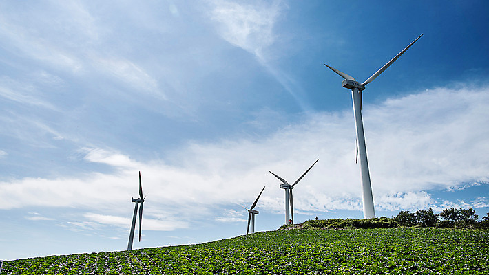 포토 JPG 하늘 한국 풍경 사람없음 풍력에너지 배추 강원도 배추밭 태백 고랭지 매봉산 국내포토 아시아 밭 농업 채소 산 그린에너지 파일형식