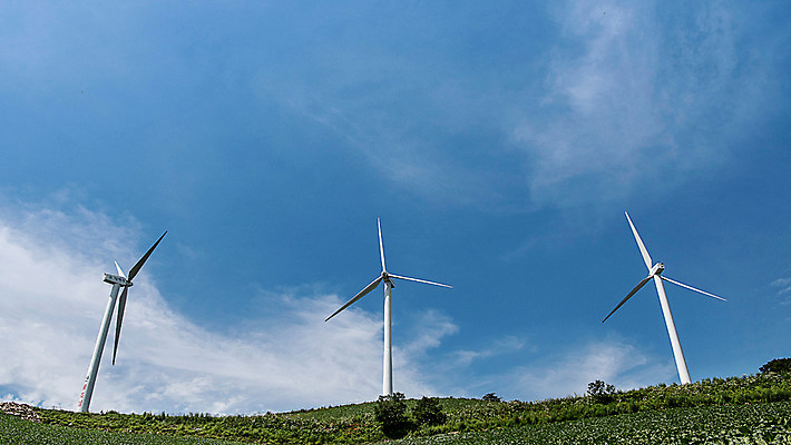 포토 JPG 하늘 한국 풍경 사람없음 풍력에너지 배추 강원도 배추밭 태백 고랭지 매봉산 국내포토 아시아 밭 농업 채소 산 그린에너지 파일형식