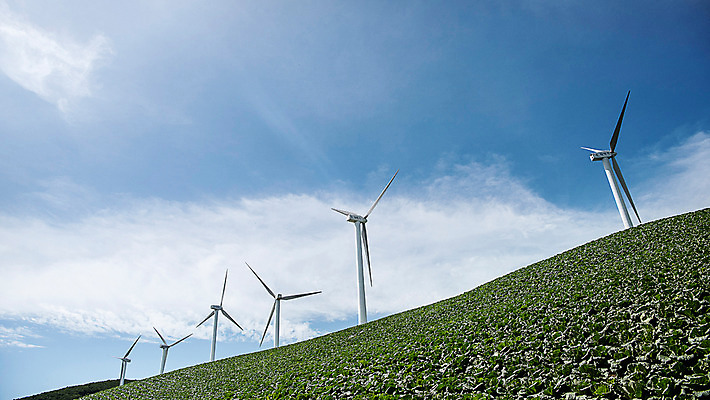 포토 JPG 하늘 한국 풍경 사람없음 풍력에너지 배추 강원도 배추밭 태백 고랭지 매봉산 국내포토 아시아 밭 농업 채소 산 그린에너지 파일형식