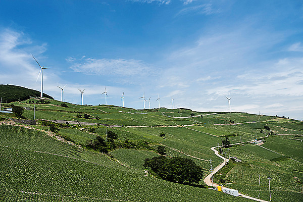 포토 JPG 하늘 한국 풍경 사람없음 풍력에너지 배추 강원도 배추밭 태백 고랭지 매봉산 국내포토 아시아 밭 농업 채소 산 그린에너지 파일형식