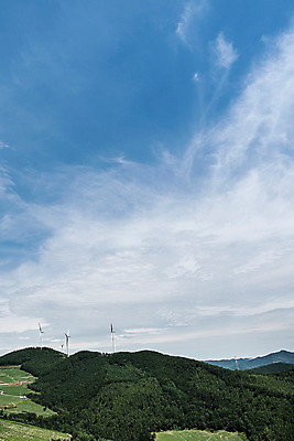 포토 JPG 하늘 한국 풍경 사람없음 풍력에너지 배추 강원도 배추밭 태백 고랭지 매봉산 국내포토 아시아 밭 농업 채소 산 그린에너지 파일형식