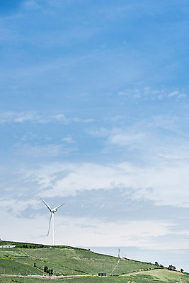 포토 JPG 하늘 한국 풍경 사람없음 풍력에너지 배추 강원도 배추밭 태백 고랭지 매봉산 국내포토 아시아 밭 농업 채소 산 그린에너지 파일형식