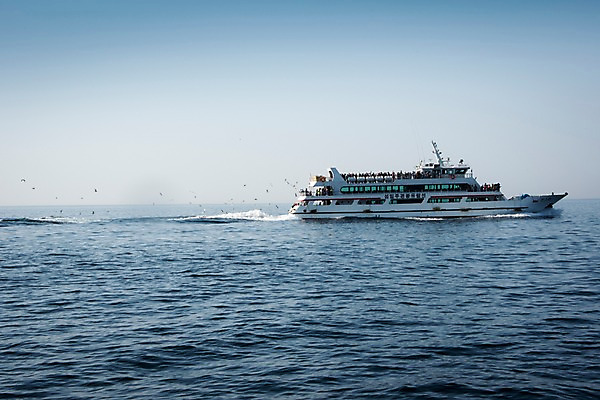 포토 JPG 주간 바다 섬 갈매기 한국 풍경 여러명 성인 야외 여행객 유람선 울릉도 동해 선박 국내포토 자연요소 아시아 다수 수상교통 배_교통 조류 사람 경상북도 파일형식