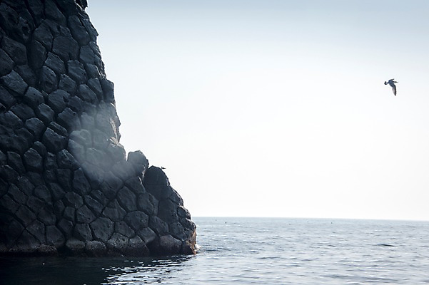 포토 JPG 주간 바다 섬 두마리 갈매기 한국 풍경 사람없음 야외 바위 울릉도 동해 국내포토 자연요소 아시아 2 조류 돌_바위 경상북도 파일형식
