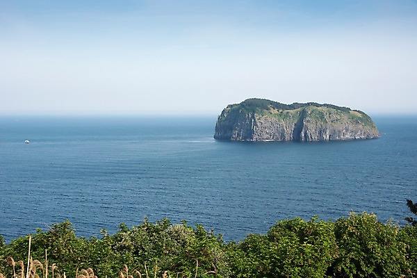 포토 JPG 주간 나무 바다 섬 한국 풍경 사람없음 야외 울릉도 동해 국내포토 자연요소 식물 아시아 경상북도 파일형식
