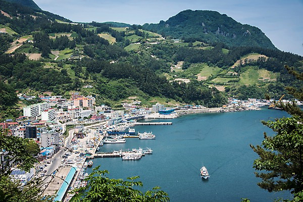 포토 JPG 주간 나무 바다 섬 한국 풍경 사람없음 야외 건물 항구 도시 울릉도 동해 선박 국내포토 자연요소 식물 건축물 아시아 수상교통 교통시설 경상북도 파일형식
