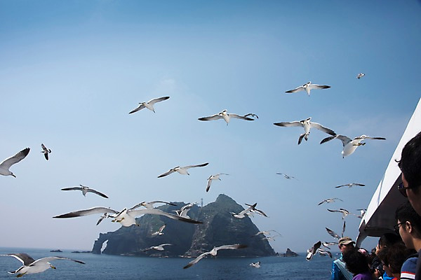 포토 JPG 주간 바다 섬 갈매기 한국 사람 풍경 여러명 상반신 야외 여행객 울릉도 동해 국내포토 자연요소 아시아 다수 조류 경상북도 파일형식