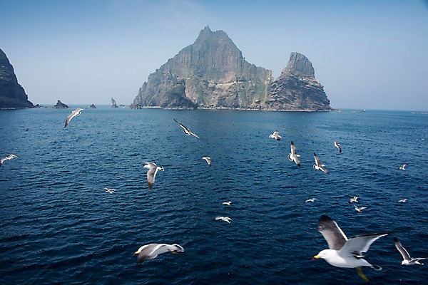 포토 JPG 주간 바다 섬 여러마리 갈매기 한국 풍경 사람없음 야외 울릉도 동해 국내포토 자연요소 아시아 다수 조류 경상북도 파일형식