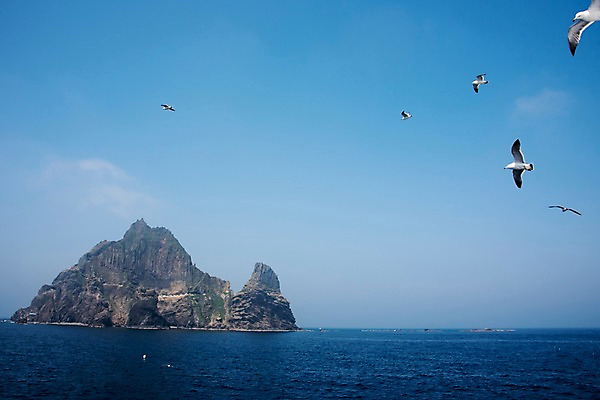 포토 JPG 주간 바다 섬 여러마리 갈매기 한국 풍경 사람없음 야외 울릉도 동해 국내포토 자연요소 아시아 다수 조류 경상북도 파일형식