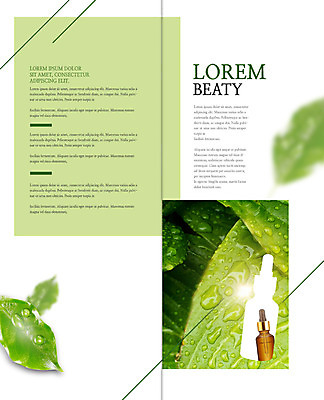 PSD 템플릿 편집 표지디자인 북디자인 출판디자인 내지 리플렛 2단접지 북커버 나뭇잎 팜플렛 사람없음 뷰티 물방울 오일 에센스 이미지템플릿 음식 잎 화장품 파일형식