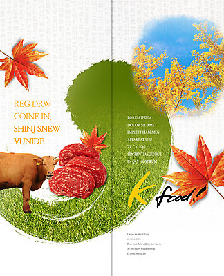 PSD 템플릿 편집 표지디자인 북디자인 출판디자인 내지 리플렛 단풍 2단접지 북커버 육류 팜플렛 잔디 사람없음 소고기 가을 소 은행나무 한우 이미지템플릿 나무 식물 계절 잎 식재료 포유류 파일형식