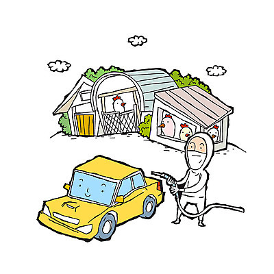 구름 남자 캠페인 일러스트 자동차 한명 성인 가축 닭 방역 소독 양계장 조류독감 국내일러스트 AI파일 자연요소 동물 1 육상교통 조류 사람 전염병 파일형식 벡터