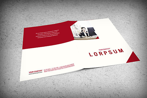 PSD 템플릿 편집 여자 표지 리플렛 한명 팜플렛 20대 성인 3D 한국인 비즈니스우먼 목업 성인여자한명만 편집소스 이미지템플릿 1 비즈니스 사람 동양인 청년 직장인 디지털합성 여자한명만 성인여자만 파일형식