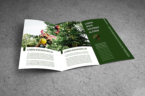 PSD 나무 템플릿 편집 내지 리플렛 팜플렛 사람없음 3D 풍선 목업 편집소스 이미지템플릿 식물 디지털합성 파일형식