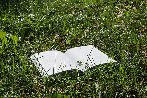 포토 JPG 해외이미지 학생 라이프스타일 공원 교육 종이 문화 백그라운드 컨셉 밭 텍스트 학교 자연 하늘 휴식 풍경 잔디 사람없음 야외 책 초록색 여름 스터디 독서 환경 정원 봄 공백 꿈 흰색 오픈 읽기 대학교 문학 페이지 내추럴 해외202004 해외포토 식물 계절 공공시설 컬러 농업 모션 생활 학습 생태계 파일형식 이미지허브