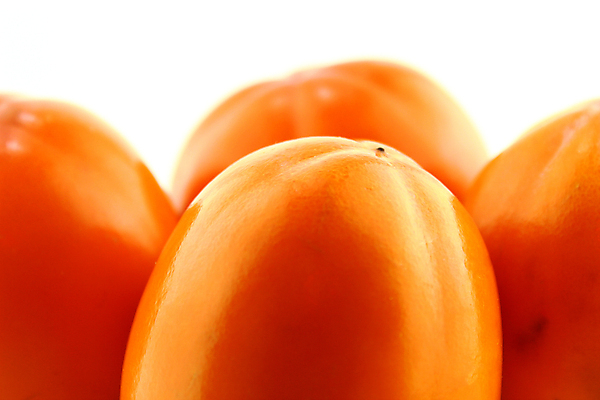 포토 JPG 해외이미지 실내 감 사람없음 흰배경 해외202004 해외포토 백그라운드 과일 내부 흰색 파일형식 이미지허브