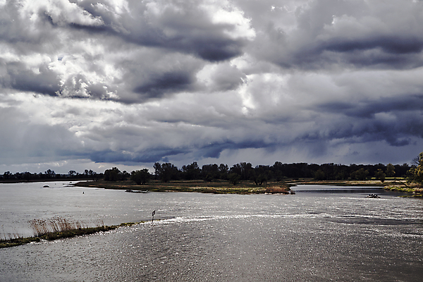 포토 JPG 해외이미지 식물 구름 유럽 호수 자연 하늘 갈대 풍경 사람없음 물 강 숲 폴란드 수평선 해외202004 해외포토 자연요소 나라 생태계 파일형식 이미지허브