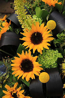 포토 JPG 해외이미지 식물 꽃잎 꽃 결혼 백그라운드 자연 결혼식 해바라기 사랑 사람없음 장식 초록색 갈색 노란색 해외202004 해외포토 감정 컬러 이벤트 생태계 파일형식 이미지허브