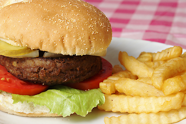 포토 JPG 해외이미지 접시 패스트푸드 실내 근접촬영 사람없음 감자튀김 햄버거 인스턴트 정크푸드 체크무늬 해외202004 해외포토 식기 음식 뷰포인트 무늬 감자 내부 튀김 파일형식 이미지허브