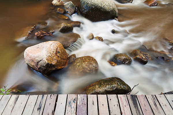 포토 JPG 해외이미지 야생동물 파도 모션 휴식 풍경 사람없음 야외 목재 물 강 갈색 환경 정원 폭포 젖음 흐름 추위 발코니 바위 개울 가장자리 숲 시원함 열대우림 홍수 속도 장면 루트 해외202004 해외포토 자연요소 나무 동물 바다 컬러 컨셉 재료 자연 돌_바위 둘레 자연재해 파일형식 이미지허브