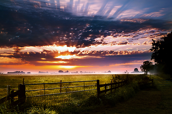 포토 JPG 해외이미지 구름 여행 밭 오렌지 자연 하늘 아침 따뜻함 풍경 사람없음 야외 초록색 여름 울타리 햇빛 태양 농경지 노란색 마을 일출 시골 속도 네덜란드 해외202004 해외포토 주간 자연요소 계절 유럽 컬러 농업 과일 담장 농장 노을 생태계 파일형식 이미지허브