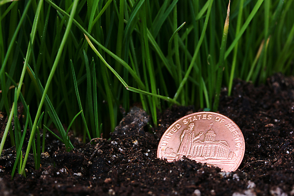 포토 JPG 해외이미지 돈 사람없음 초록색 금융 금속 동전 가난 발견 땅바닥 센트 적자 페니 해외202004 해외포토 컬러 컨셉 재질 바닥 경제 재산 파일형식 이미지허브