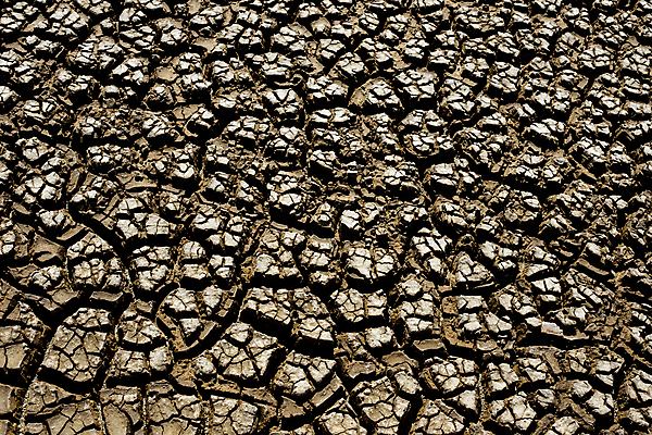 포토 JPG 해외이미지 디자인 계절 호수 백그라운드 컨셉 패턴 밭 자연 날씨 추상 아이디어 건조 사람없음 물 여름 강 갈색 사막 물방울 뜨거움 거친 고독 땅 질감 소금 먼지 진흙 가뭄 지구온난화 멀리 깊이 카피스페이스 갈색배경 끈적임 해외202004 해외포토 자연요소 감정 컬러 무늬 농업 공백 생태계 기후변화 파일형식 이미지허브