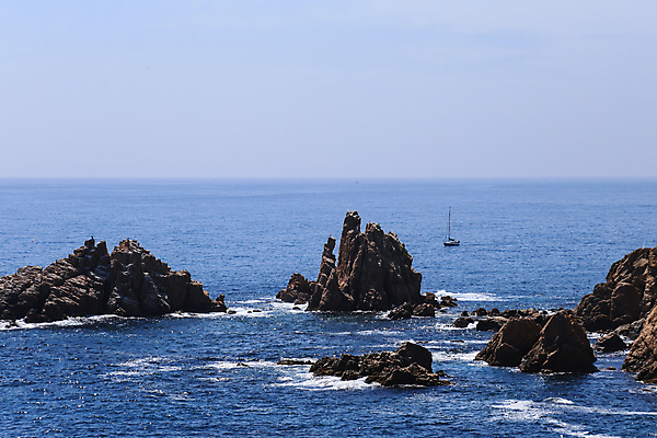 포토 JPG 해외이미지 유럽 야생동물 파도 바다 여행 자연 하늘 바람 풍경 사람없음 야외 가로 물 여름 파란색 맑음 자유 서핑 깊이 카피스페이스 해외202004 해외포토 자연요소 동물 계절 나라 컬러 컨셉 날씨 공백 수상스포츠 생태계 파일형식 이미지허브