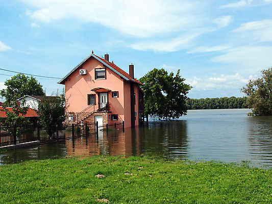 포토 JPG 해외이미지 나무 디자인 외관 건축양식 창문 가족 하늘 지붕 벽돌 새로움 주택 사람없음 야외 건물 목재 초록색 물 파란색 갈색 문 희망 봄 꿈 흰색 시장 재산 큼 홍수 싱글 리빙 다뉴브강 진짜 차고 스타일 해외202004 해외포토 자연요소 식물 건축물 계절 건축 감정 컬러 컨셉 재료 관계 금융 크기 자연재해 파일형식 이미지허브