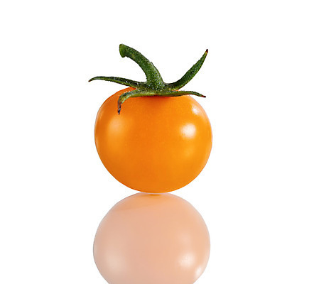 포토 JPG 해외이미지 음식 농업 토마토 채소 오렌지 건강 사람없음 노란색 흰색 신선 체리 유기농 고립 해외202004 해외포토 웰빙 산업 컬러 과일 파일형식 이미지허브