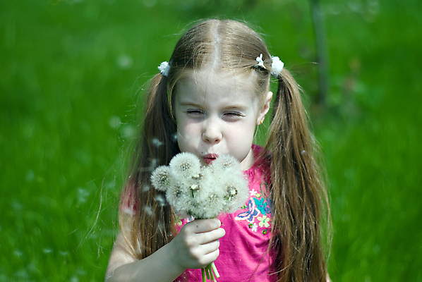 포토 JPG 해외이미지 식물 백인 여자 꽃 딸 어린이 꽃다발 밭 자연 한명 사람 야외 초록색 햇빛 태양 봄 뜨거움 작음 민들레 불기 5월 해외202004 해외포토 자연요소 서양인 1 계절 컬러 농업 가족 모션 날짜 크기 생태계 파일형식 이미지허브