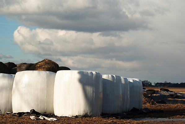 포토 JPG 해외이미지 식물 계절 음식 백그라운드 잎 밭 농업 공 자연 풍경 잔디 사람없음 초록색 여름 농작물 농장 농경지 쌓기 환경 맑음 수확 덮개 흰색 시골 업무 원형 볏짚 보호 먹이 플라스틱 자르기 밀 롤 패키지 뭉치 밀짚 내추럴 밭일 줄서기 해외202004 해외포토 도형 산업 컬러 컨셉 모션 재질 날씨 곡류 뚜껑 작업 짚 생태계 파일형식 이미지허브