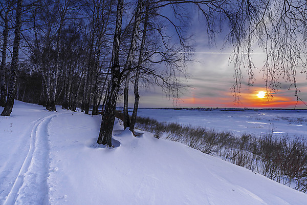 포토 JPG 해외이미지 나무 구름 계절 공원 여행 백그라운드 크리스마스 겨울 자연 하늘 아침 날씨 선물 풍경 사람없음 야외 목재 빛 햇빛 태양 일출 환경 계곡 냉동 얼음 침묵 일몰 새벽 추위 덮개 흰색 나뭇가지 저녁 숲 서리 장면 자작나무 시베리아 눈내림 해외202004 해외포토 주간 자연요소 식물 공공시설 기념일 컬러 재료 노을 소리 뚜껑 눈 밤 야간 생태계 파일형식 이미지허브