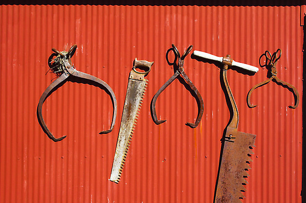 포토 JPG 해외이미지 농업 건축양식 자연 주택 풍경 사람없음 야외 초록색 여름 파란색 태양 농장 노란색 마을 맑음 미국 페인트 시골 신선 역사 균열 유기농 심플 목공예 밭일 서쪽 옛날 파라다이스 평야 해외202004 해외포토 자연요소 웰빙 계절 건축 산업 컬러 북아메리카 모션 날씨 건물 공예 방향 생태계 파일형식 이미지허브