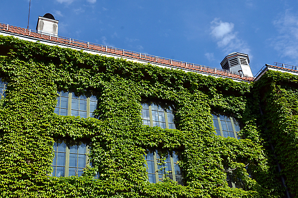 포토 JPG 해외이미지 식물 여행 노르웨이 사람없음 여행객 식물원 스칸디나비아 오슬로 지질학 해외202004 해외포토 교육 유럽 사람 파일형식 이미지허브