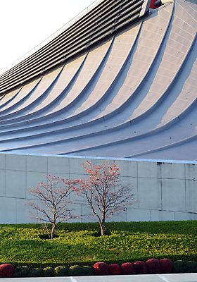 포토 JPG 해외이미지 나무 아이콘 전통 외관 벽 스포츠 곡선 건축양식 지붕 건강 풍경 사람없음 야외 건물 햇빛 정원 일본 수영 경쟁 경기장 도쿄 체육관 서식 전국 콘크리트 해외202004 해외포토 식물 건축물 건축 아시아 선 컨셉 스포츠시설 태양 수상스포츠 파일형식 이미지허브