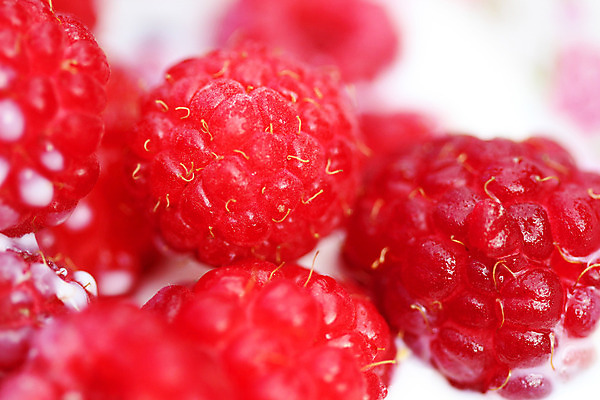 포토 JPG 해외이미지 식물 열매 꽃 꽃무늬 채소 과일 자연 디저트 유제품 사람없음 장식 빨간색 정원 식사 우유 수확 달콤 산딸기 시트 요거트 숙성 해외202004 해외포토 음식 컬러 무늬 농업 맛 생태계 파일형식 이미지허브