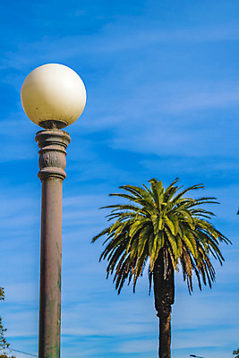 포토 JPG 해외이미지 나무 공원 백그라운드 전구 하늘 손바닥 사람없음 야외 파란색 빛 도시 묘사 내추럴 우루과이 해외202004 해외포토 식물 손 공공시설 컬러 남아메리카 파일형식 이미지허브