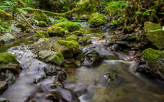 포토 JPG 해외이미지 나무 공원 여행 백그라운드 모션 자연 산 이끼 풍경 사람없음 야외 목재 초록색 물 강 환경 봄 폭포 젖음 흐름 가을 바위 시간 개울 떨어짐 소프트포커스 숲 캘리포니아 장면 내추럴 해외202004 해외포토 자연요소 식물 계절 공공시설 컬러 컨셉 재료 촬영기법 미국 돌_바위 생태계 파일형식 이미지허브