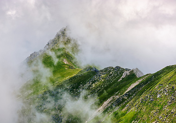 포토 JPG 해외이미지 구름 백그라운드 자연 날씨 산 풍경 경사 사람없음 야외 여름 환경 힘 하이킹 안개 바위 황무지 가장자리 위험 큼 예측 무서움 고도 언덕 장면 무거움 거인 강렬 땅바닥 뿌연 석회암 폭풍우 해외202004 해외포토 자연요소 계절 감정 컨셉 레저 바닥 암석 돌_바위 비_날씨 둘레 무게 크기 자연재해 생태계 파일형식 이미지허브