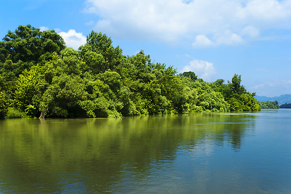 포토 JPG 해외이미지 나무 구름 하늘 휴식 독일 사람없음 초록색 물 파란색 강 반사 힘 침묵 청결 자유 러시아 북쪽 루마니아 헝가리 부다페스트 세르비아 시베리아 해외202004 해외포토 자연요소 식물 유럽 컬러 컨셉 소리 위생 방향 동유럽 파일형식 이미지허브