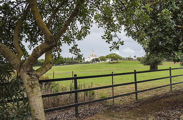 포토 JPG 해외이미지 나무 식물 구름 계절 백그라운드 컨셉 밭 농업 자연 하늘 성공 날씨 주택 파노라마 풍경 사람없음 야외 초록색 여름 파란색 농장 농경지 평화 마을 환경 침묵 봄 성장 가을 시골 신선 고독 땅 시골집 장면 내추럴 밭일 생태학 수평선 해외202004 해외포토 자연요소 교육 감정 산업 컬러 촬영기법 건물 소리 생태계 파일형식 이미지허브