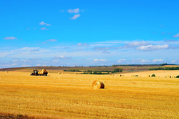 포토 JPG 해외이미지 식물 구름 계절 문화 빵 밭 농업 자연 하늘 파노라마 풍경 사람없음 야외 가로 초록색 여름 파란색 농작물 햇빛 태양 농장 노란색 침묵 수확 성장 시골 업무 볏짚 땅 시리얼 밀 장면 트랙터 뭉치 밀짚 숙성 수평선 해외202004 해외포토 자연요소 산업 음식 컬러 곡류 촬영기법 소리 작업 짚 농기계 생태계 특수차량 파일형식 이미지허브