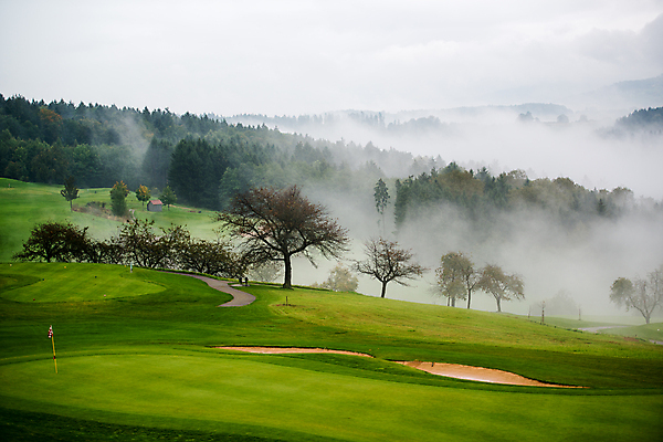 포토 JPG 해외이미지 주간 나무 라이프스타일 골프 골프장 하늘 잔디 사람없음 야외 초록색 안개 소나무 땅 내추럴 해외202004 해외포토 자연요소 식물 컬러 스포츠시설 날씨 생활 구기 파일형식 이미지허브