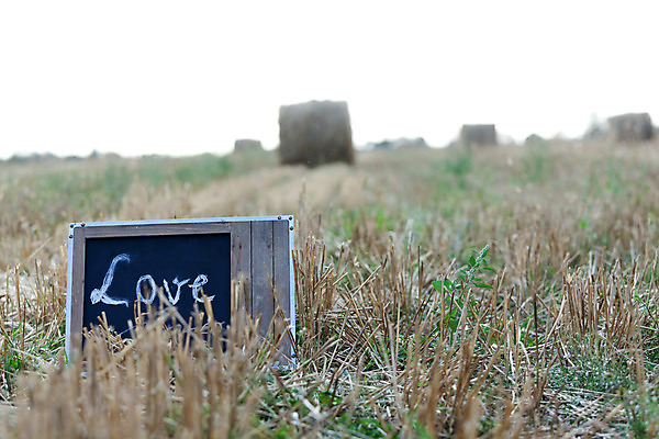 포토 JPG 해외이미지 컨셉 밭 자연 사랑 사람없음 초록색 여름 칠판 자유 마법 카피스페이스 해외202004 해외포토 계절 감정 컬러 농업 공백 생태계 파일형식 이미지허브