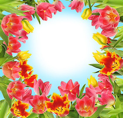 포토 JPG 해외이미지 식물 꽃잎 꽃 줄기 꽃다발 컨셉 꽃무늬 자연 휴가 부활절 기념 발렌타인데이 선물 사랑 미술 사람없음 장식 빨간색 초록색 컬러풀 정원 보라색 봄 튤립 벚꽃 흰색 인사 신선 신용카드 클래식 우아함 다발 배열 꽃집 묘사 내추럴 고립 해외202004 해외포토 계절 기념일 감정 컬러 무늬 데이이벤트 문화예술 금융 상점 예절 생태계 파일형식 이미지허브